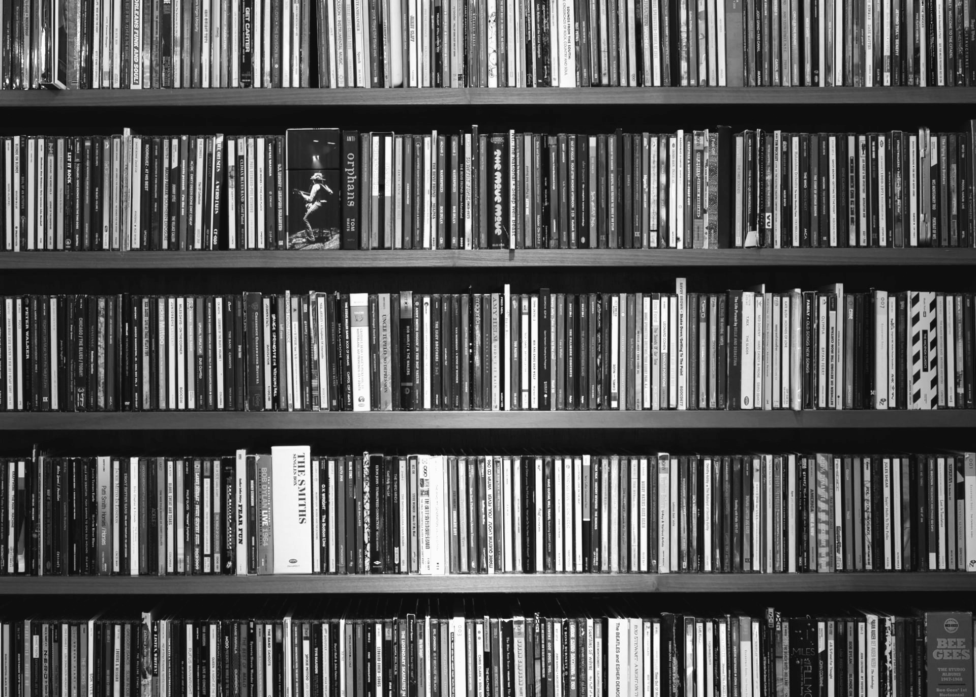 Shelves of music CDs at the Douglas Fir store, spines facing out in row after row